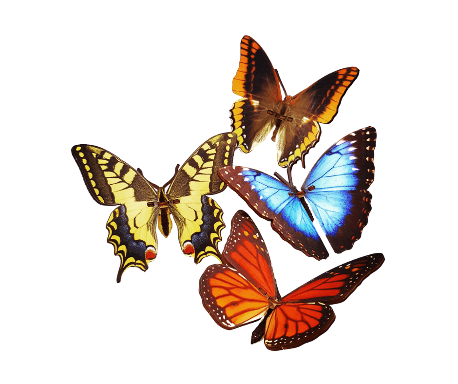 Bouwpakket vlinder - product image